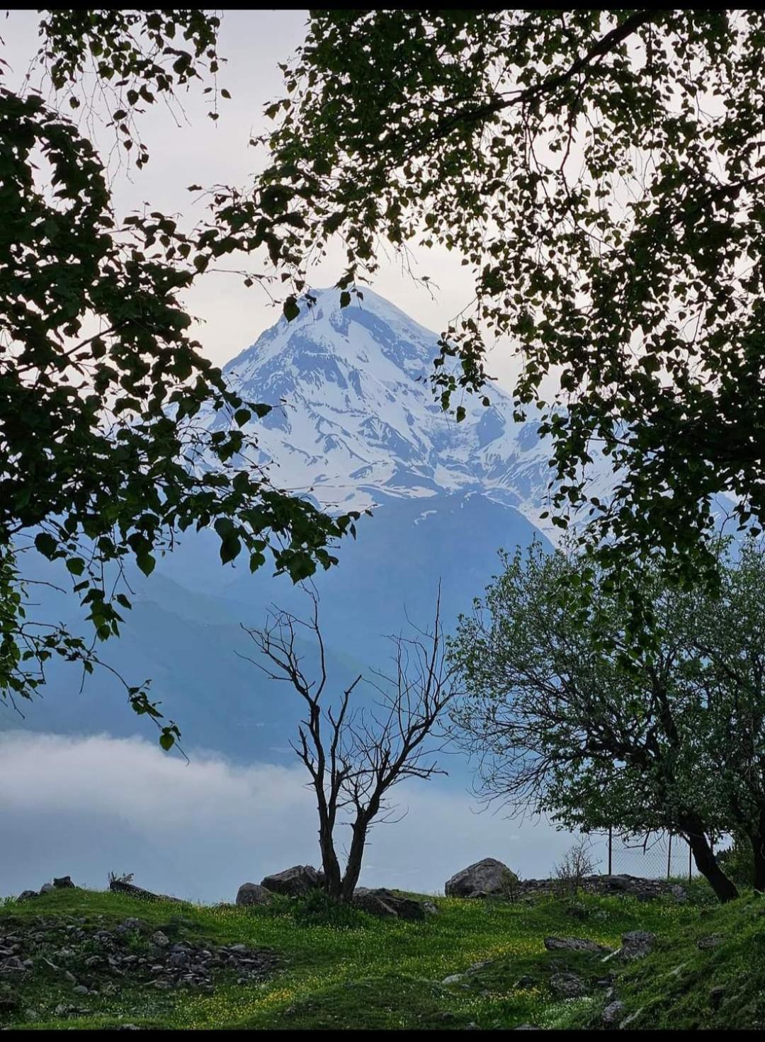 Crystal Kazbegi Stepantsminda Exterior foto